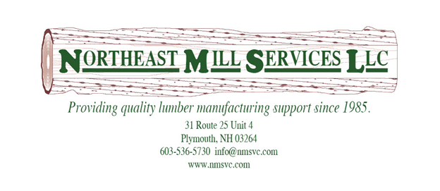NMS LLC LOGO